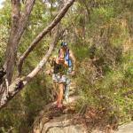 Royal National Park 